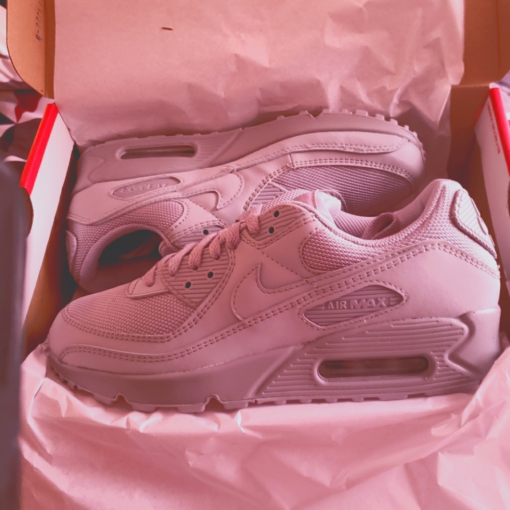 Nike Air Max (Men Size 8)